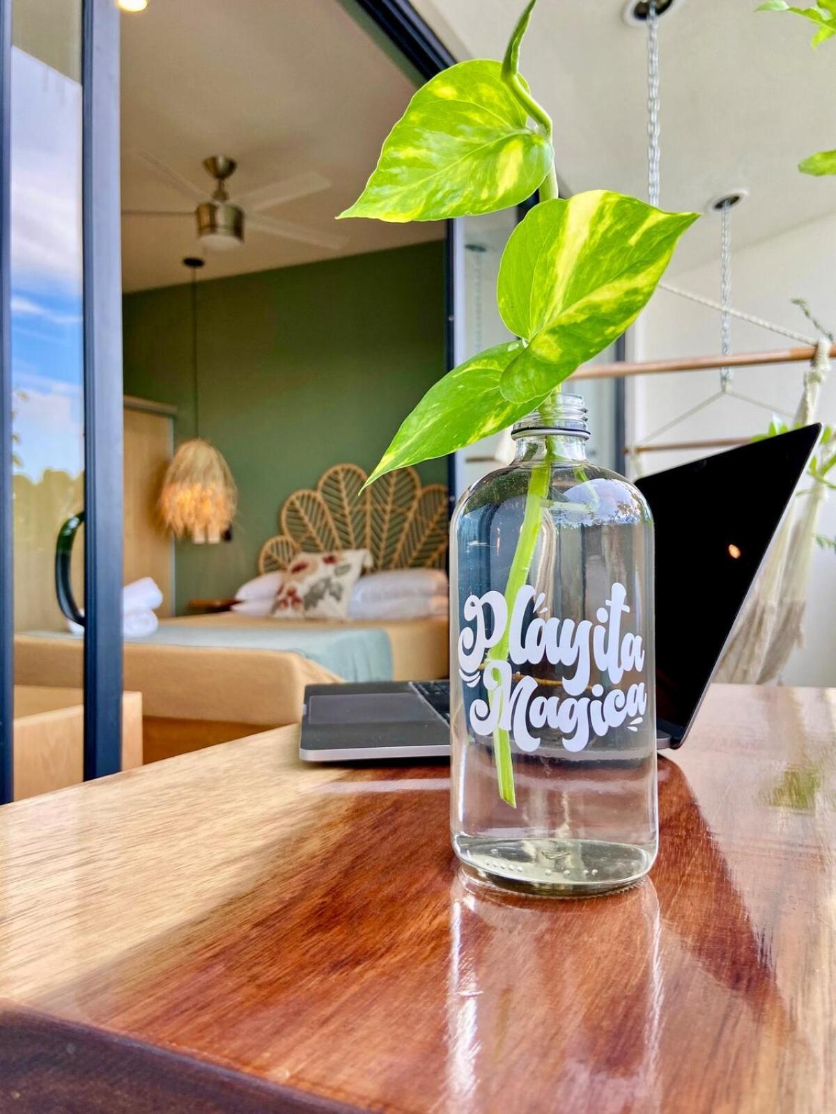 Estrena Estudio Con Coworking,gym,alberca,todo Cerca Apartamento Playa del Carmen